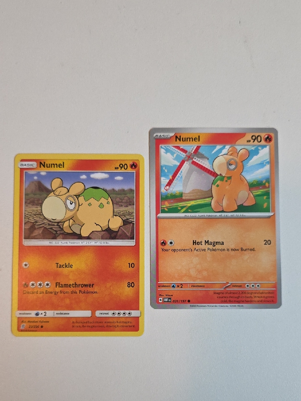 Pokemon Numel Cards